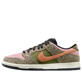Nike x Arts-Rec SB Dunk Low Arts-Rec IH3211-200