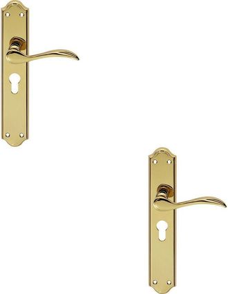 Loops 2x PAIR Curved Handle on Long Euro Lock Backplate 245 x 45mm Stainless Brass