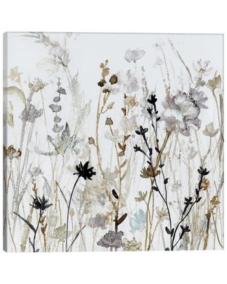 iCanvas Icanvas Wildflower Mist Ii Wall Art By Carol Robinson