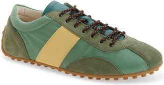 Tod's Sportiva Lace-Up Sneaker in Light/Pastel at Nordstrom, Size 10.5Us