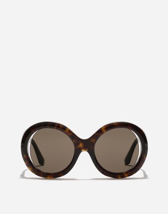 Dolce & Gabbana Sicilian Street Sunglasses - Woman New Arrivals Havana Acetate Onesize