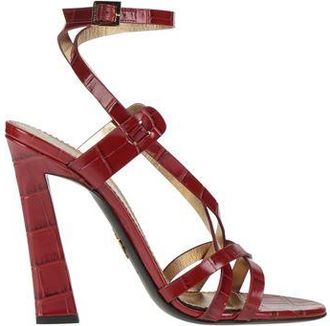 Dsquared2 FOOTWEAR - Sandals sur YOOX.COM