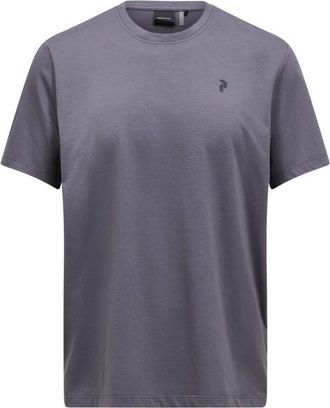 Peak Performance Explore Graphic Tee Funktionsshirt f&uuml;r Herren | grau/blau