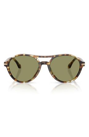 Giorgio Armani 55mm Round Sunglasses in Yellow Havana at Nordstrom
