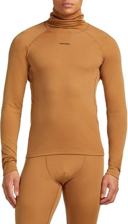 Icebreaker 300 Polar MerinoFine Turtleneck Top in Trail at Nordstrom, Size Medium