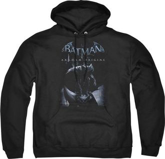 Gildan Batman Arkham Origins Perched Cat Adult Pull Over Hoodie / Hooded Sweatshirt