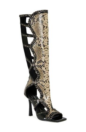 Azalea Wang Indrani Snake Gladiator Boot in Black at Nordstrom, Size 8.5