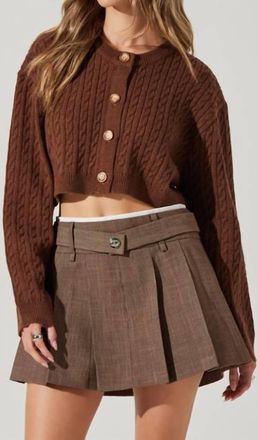 Astr Sebille Sweater In Brown