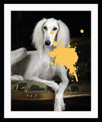 Queence Bild »Pudel mit Farbklecks« Haustiere Hund Hunde Hundebilder HD Premium Poster-Druck inkl. Holzrahmen