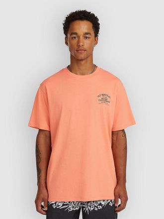 O'Neill Melange Chest Print T-Shirt orange