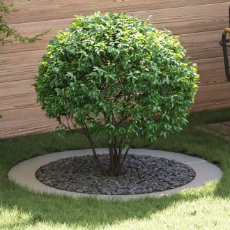Berkfield Home Galvanised Planter Galvanised Galvanised Steel Large in Silver