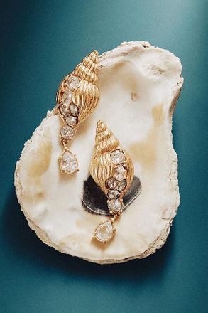 Oceanus Mercenaria Conch Shell Earrings
