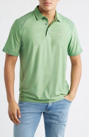 Tommy Bahama Palm Coast Pro Solid Polo in Elm Green at Nordstrom, Size Xxx-Large