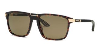 Chopard SCH359V Polarized 909P Mens Sunglasses Tortoiseshell Size 60