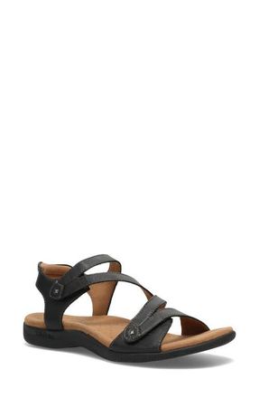 Taos Big Time Ankle Strap Sandal in Black at Nordstrom, Size 10