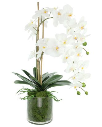 Creative Displays Inc. Handmade Faux Orchids Arranged In Glass Vase With Moss