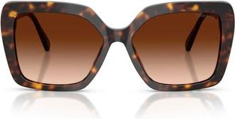 Swarovski 57mm Butterfly Sunglasses in Havana /Brown Gradient at Nordstrom