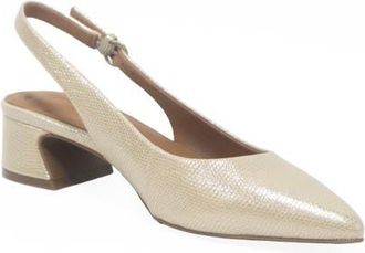 Gentle Souls Georgia Slingback Pointed Toe Pump in Sand Snake at Nordstrom, Size 7.5