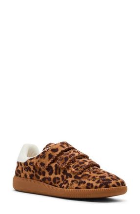Steve Madden Momentum Sneaker in Leopard at Nordstrom, Size 6