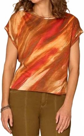 Democracy Smocked Scoop Neck Placement Print Knit Top - Plus In Spiced Tea Multi