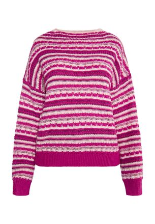 Izia Jumper Dames Bessenroze veelkleurig