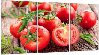 OEM Placa Protectora De Vidrio Para Estufa 3x30x52