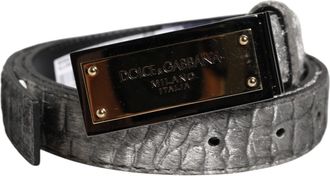Dolce & Gabbana Silver Classic Gold Logo Plaque Buckle Mens Belt (Pre-Owned)