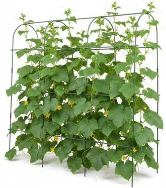 Relaxdays Relaxdays trellis for climbing plants, metal support with net & accessories, H x W x D: 182x183x43 cm, vegetables, green
