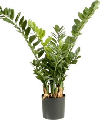 Baq Lebensechte Kunstpflanze Zamioculcas ø 70/ Höhe 90 cm