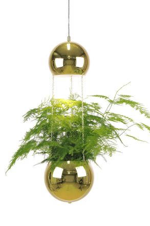Globen Lighting Pendellampe und Pflanztopf Planter Mini &oslash; 18/ H 60 cm - Messing