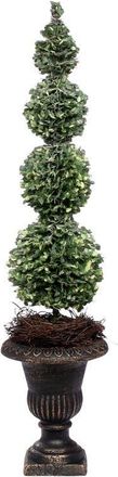 Mark Roberts Triple Pine Topiary, Set of 2 in Green at Nordstrom