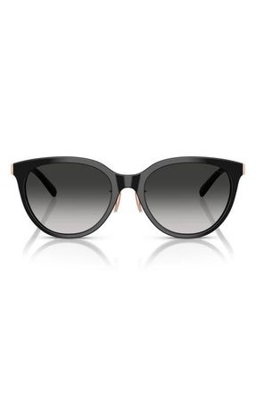 Tiffany & Co. 55mm Round Sunglasses in Black /Grey Gradient at Nordstrom
