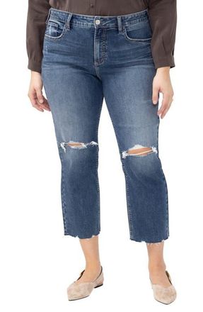 Silver Jeans Co Avery Curvy Ripped Raw Hem Straight Leg Jeans in Synth at Nordstrom, Size 14W