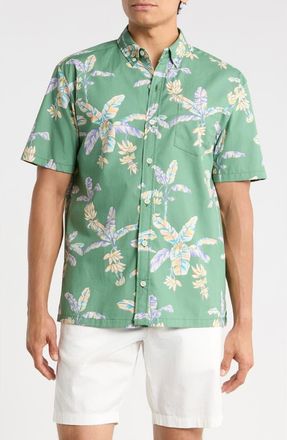 Kahala Banana Blossoms Cotton Button-Down Shirt in Island Green at Nordstrom, Size Xx-Large