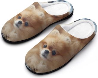 Generic Funny Pomeranian Mens Slippers Comfortable And Non-slip Cotton Slipper Shoe for House
