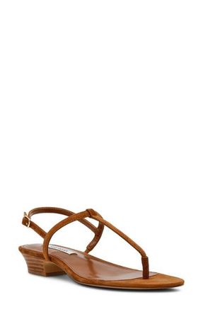 Steve Madden Ralia Slingback Sandal in Chestnut Suede at Nordstrom, Size 9.5