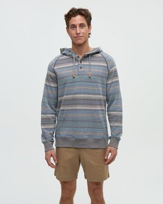 tentree Woodrow Hoodie in Graphite Multi Stripe at Nordstrom, Size X-Large