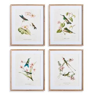 Napa Home & Garden Hummingbirds With Blush Blooms Framed Wall Art Set of 4 in Green at Nordstrom, Size Medium