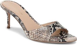 Veronica Beard Tia Slide Sandal in Ecru Multi at Nordstrom, Size 6