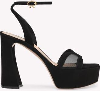 Gianvito Rossi Suede Platform in Black Suede at Nordstrom, Size 38.5