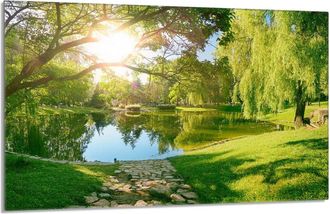 OEM Placa Protectora De Vidrio Para La Estufa 80x52 Ver