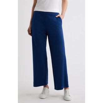 Eileen Fisher Garment Dyed Organic Cotton Terry Wide Leg Pants in Deep Dive at Nordstrom, Size 3 X