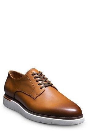 Allen Edmonds Carson Derby in Walnut at Nordstrom Rack, Size 13