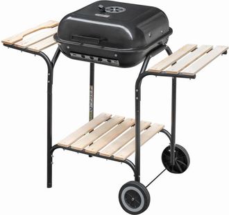 OEM Parrilla De Carb&oacute;n Para Jard&iacute;n Mega-m 43x40 N