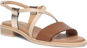 Nero Giardini Ankle Strap Sandal in Brown at Nordstrom Rack, Size 10Us / 40Eu