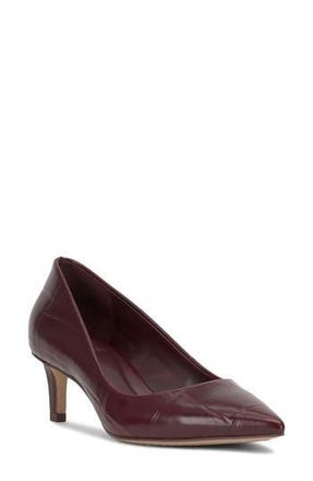 Vince Camuto Kehlia Pointed Toe Pump in Plum at Nordstrom Rack, Size 6.5