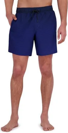 Spyder Gradient Stripe Volley Swim Shorts in Dress Blue at Nordstrom Rack, Size Xx-Large