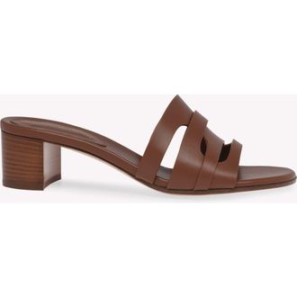 Gianvito Rossi Nora 45 Mules in Brown Calf at Nordstrom, Size 36.5
