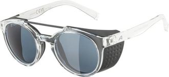 Alpina Glace S3 Gletscherbrille - Unisex | grau