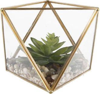 Flora Bunda Faux Succulents Garden In Squared Terrarium With Exposed Top